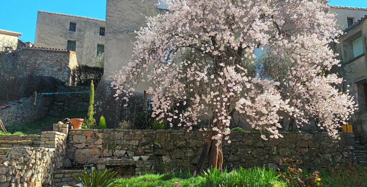 Maison Mon Reve Le Vigan  Zewnętrze zdjęcie
